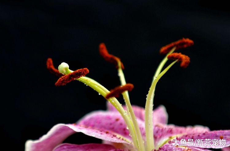 今年10月喜迎财神，事业红红火火，财富缠身的3大生肖！