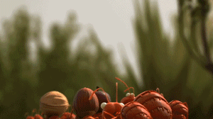 小蚂蚁合力抵抗堵塞