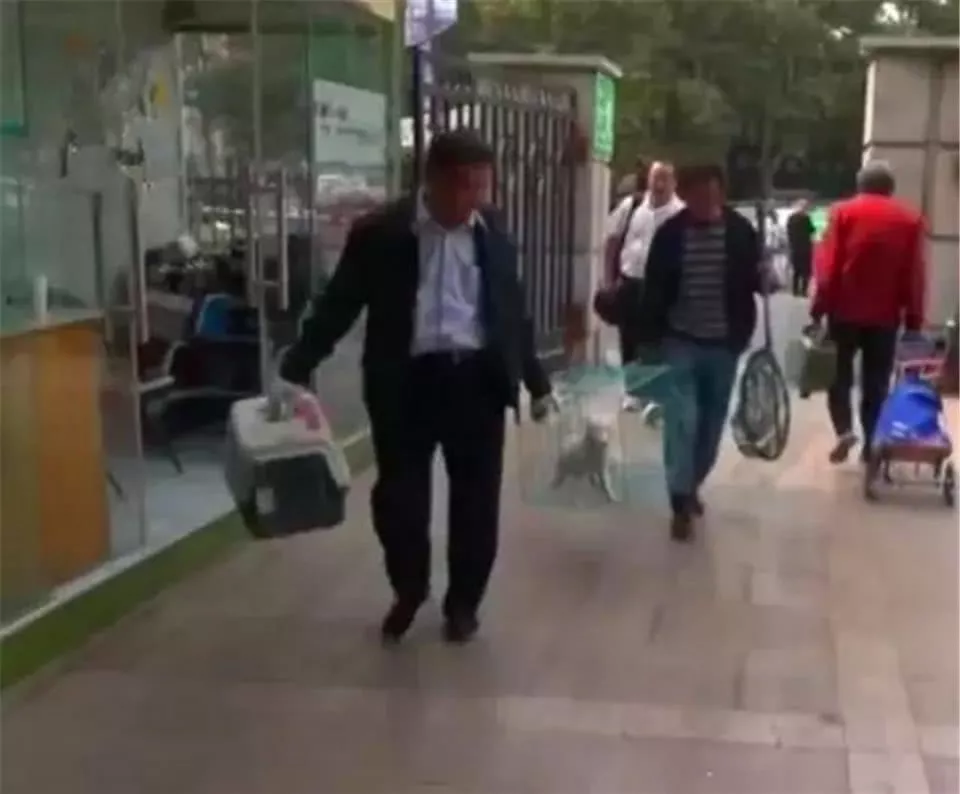 小狐狸闯闹市被抓, 兵哥哥当成狗狗喂养三天, 网友: 白浅上仙!