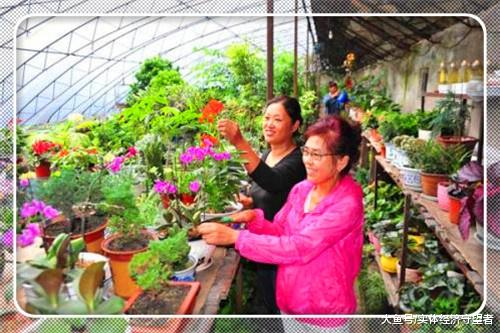 想在家里创业，有哪些有前景的小项目？这里推荐几个！