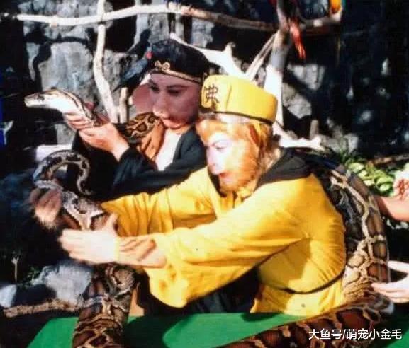 《西游记》瞒了我们几十年的真相，现在才知道，原来蟒蛇是真的