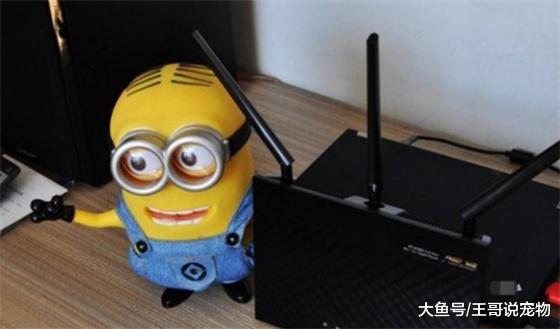 [路由器]路由器旁不要放这两样东西，不然百兆宽带也卡！