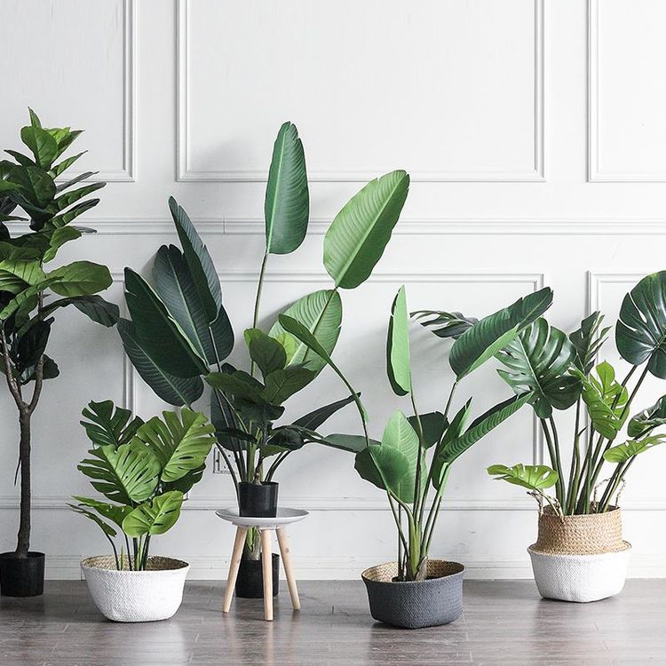 ?满屋廉价家具建材，甲醛污染还有救吗？记住三个办法