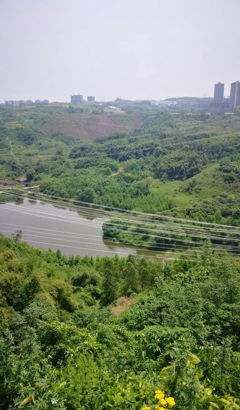 重庆又现最荒凉地铁站，周边是荒地和乡村公路，不是曹家湾！