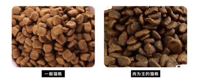 怎样给自己的猫主子购买到合格、优质的猫粮