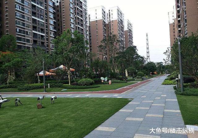 很多人买房都不关心“容积率、公摊、绿化率”，交房了才后悔