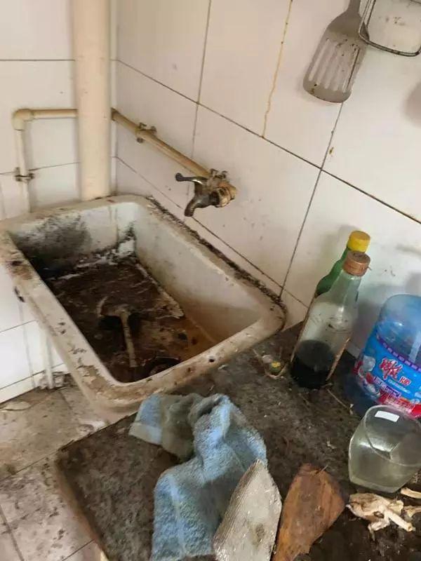 房东要气疯！网友：受惊吓，词穷到无法描述