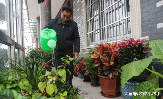 家里养花养哪种好？老行家告诉你，这几种花放在客厅，天天有花赏