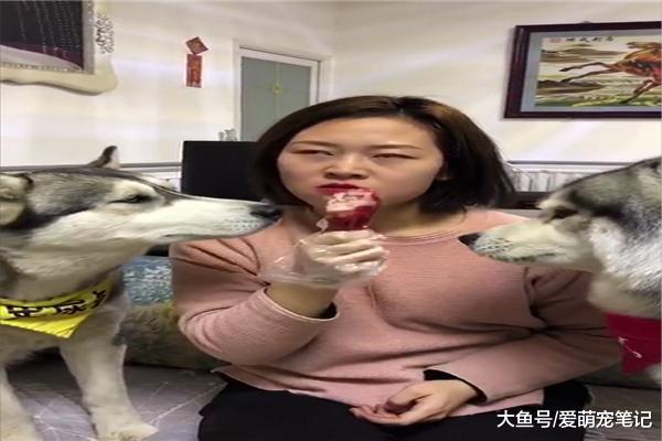 网友怕哈士奇抢鸡腿, 就利用定滑轮原理让狗狗望腿兴叹, 太有才了