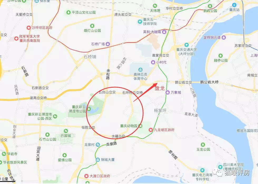 16000元/㎡的九龙坡盘龙被人竖中指了！