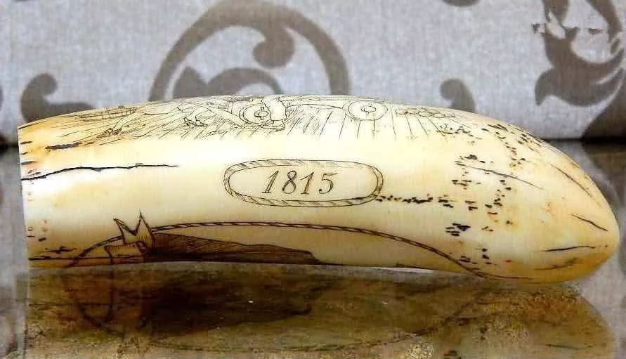 日本捕鲸船3个月捕获1430吨鲸鱼，鲸肉鲸牙鲸骨价值不菲