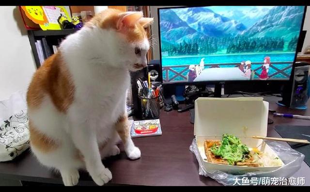 网友买了份臭豆腐，猫咪坐在一旁闭上眼睛冥思：主人要吃粑粑？