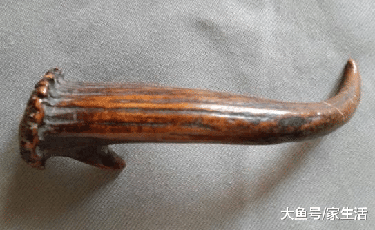 进门处切记不要摆放这几种东西，暗喻会赶走财运，有钱人一看就知