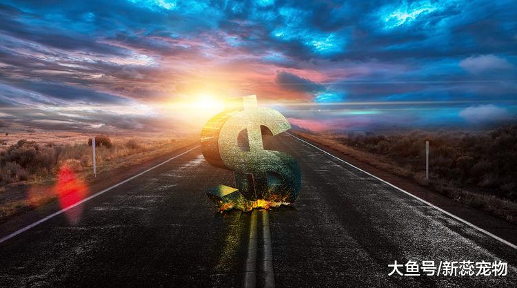 7天内运势如日中天，财源滚滚来，铁定发大财的3属相