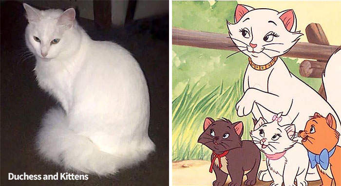 《猫儿历险记》还原度100%，白猫妈妈生下三种颜色的小猫，太可爱了