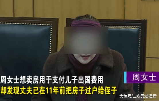 妻子想卖房供儿子留学，可房子早被丈夫过户给了侄子？扎心了