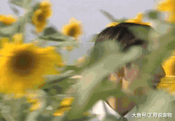 《金粉世家》：冷清秋为什么会“豪门梦碎”？因为她贪慕虚荣！