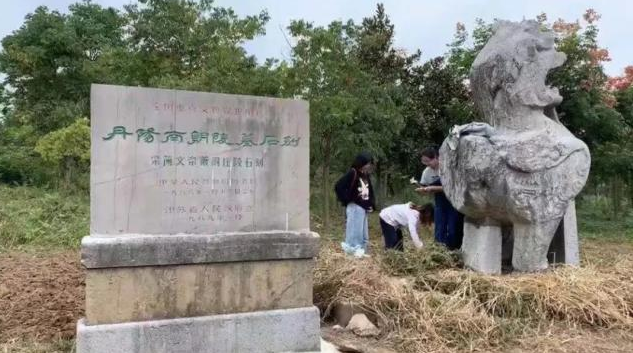 上海大学师生对南朝石刻进行盗拓，视频流露，警方已经介入处理