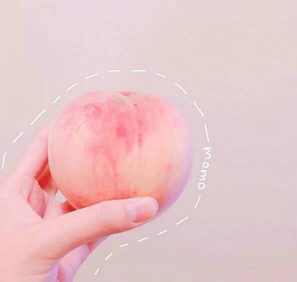 清清爽爽蜜桃塔，夏日高颜值甜品，要不要来尝一口？