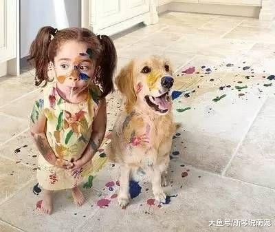 一觉醒来发现多了一个孩子，狗妈一脸茫然：哪里来的丑八怪