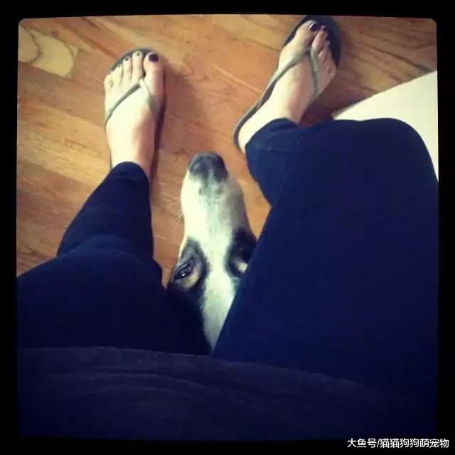 我是你無法擺脫的影子！