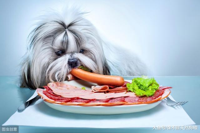 为狗狗好的主人，绝不会给它吃这5种食物，因为对它有害