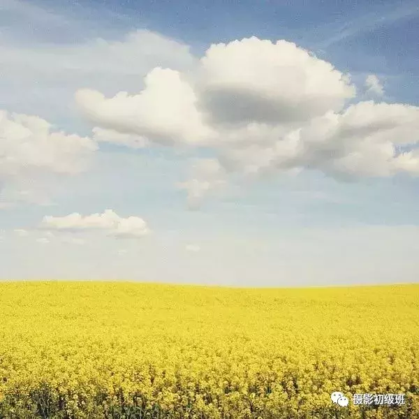 9个小技巧, 用手机也能拍出优秀摄影作品