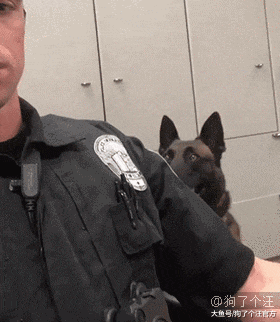 据说，爱一个人的眼神是藏不住的