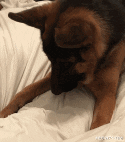 史上最可爱踢瓶盖挑战选手出现了