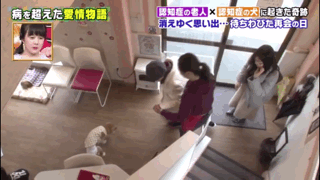 一起患上了痴呆症的奶奶和柴犬，长时间未见，感人的画面就此上演
