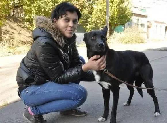 狗狗獨自行走300公里，原因竟是為了這個……