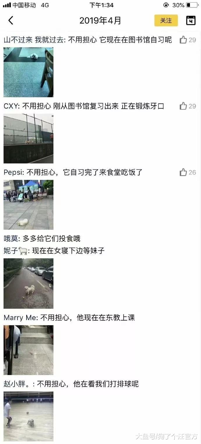 学校表白墙直播狗狗安全，这是一群什么天使啊