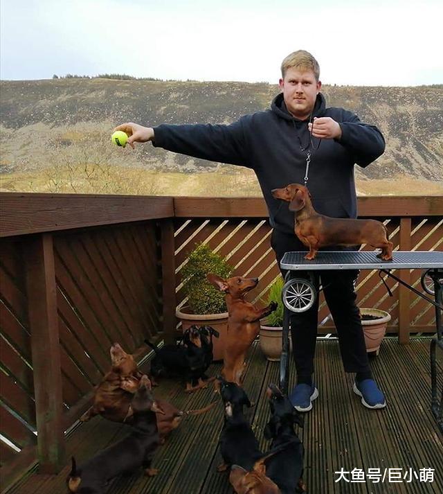 8分钟完成16只狗狗集体照，这样的狗狗摄影，你也能做到吗？