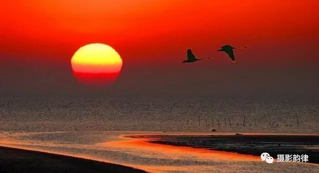 10条老摄影家创作经验，逐步提高审美意境