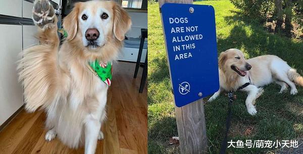 放烟火发抖狂叫！阿金自己进浴缸躺好避难，靠着娃娃才安心