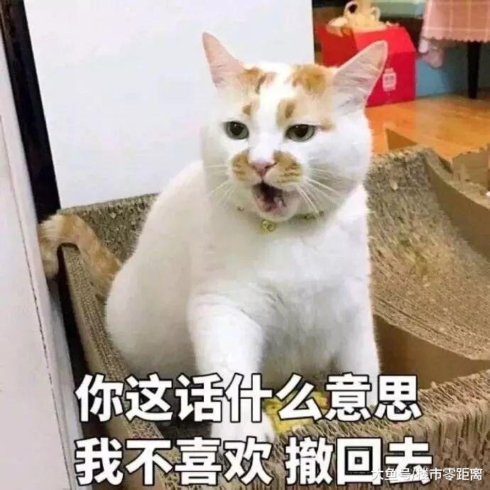 50岁的孙楠也在租房住！南京租客平均年龄36岁，租着租着我们就“老”了