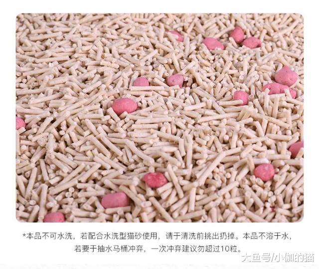 辟谣：猫砂伴侣不是真的好伴侣！猫砂除臭颗粒会导致猫呕吐和腹泻