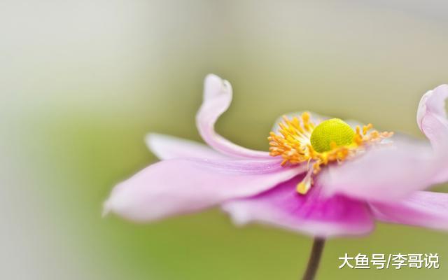 “命里有时终须有”，有三样东西不要强求，越是强求，失去越多