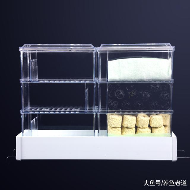 飼養觀賞魚，生化濾材的擺放有什么需要注意的問題？