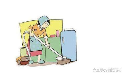 我家貓主子得了貓癬，該怎么辦？