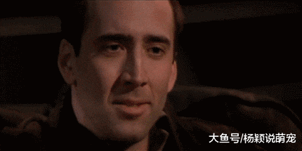 篮球世界杯季军属于法国队，博古特关键失误，网友：这回可以跟博古特说拜拜了