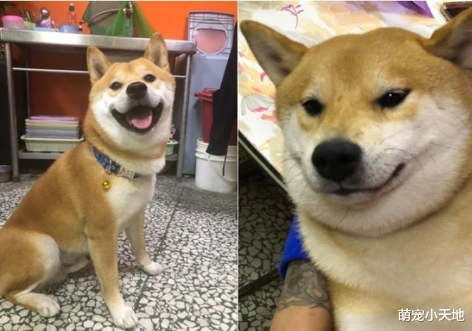 痴汉柴见短裙黑丝辣妹起色心！袭臀紧抱狂督，她害羞逃跑