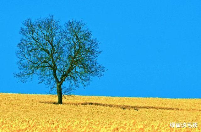 一定不要让领导觉得你老实好欺负，做到这四点，打破恶性循环