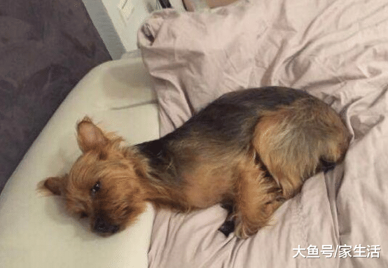 帶你參觀何潤東的豪宅，衣柜里衣服到處亂塞，平時難道都不收拾？