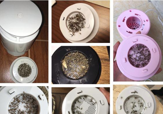 蚊子的克星来了！只需把它放房间一放，蚊子主动跑过来“自杀”！