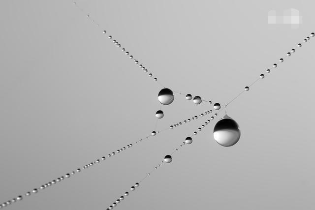 买过顶楼的才知道这些，我是哭着看完的！真后悔！