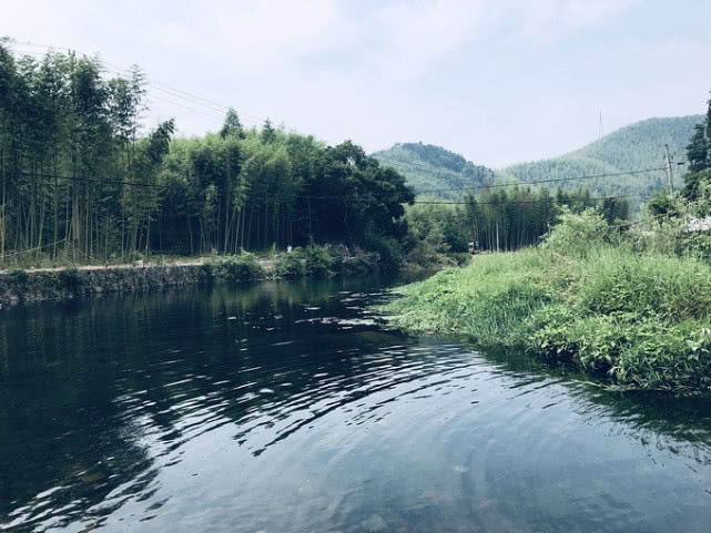 日本最大级别藤园，拥有4棵百年老藤树，一年四季都能见到鲜花