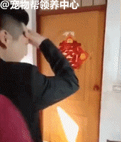 铲屎官出嫁，田园汪堵门：没我同意，谁也不许接走她！