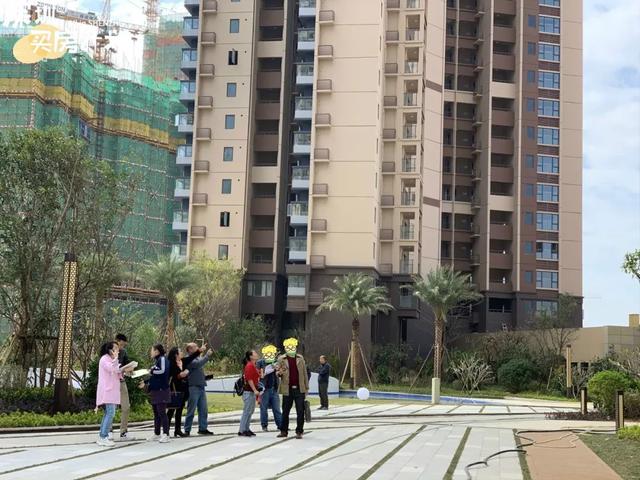 房价涨50%，深圳这个区只用了2天