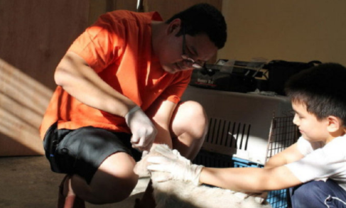 肉摊老板救助流浪狗后, 流浪狗为其看门揽客, 只为报恩